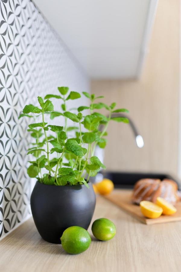 Apartamenty Meiera Краков Экстерьер фото